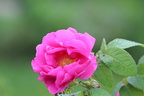 2012 Macro-avions