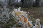 Janvier 2012